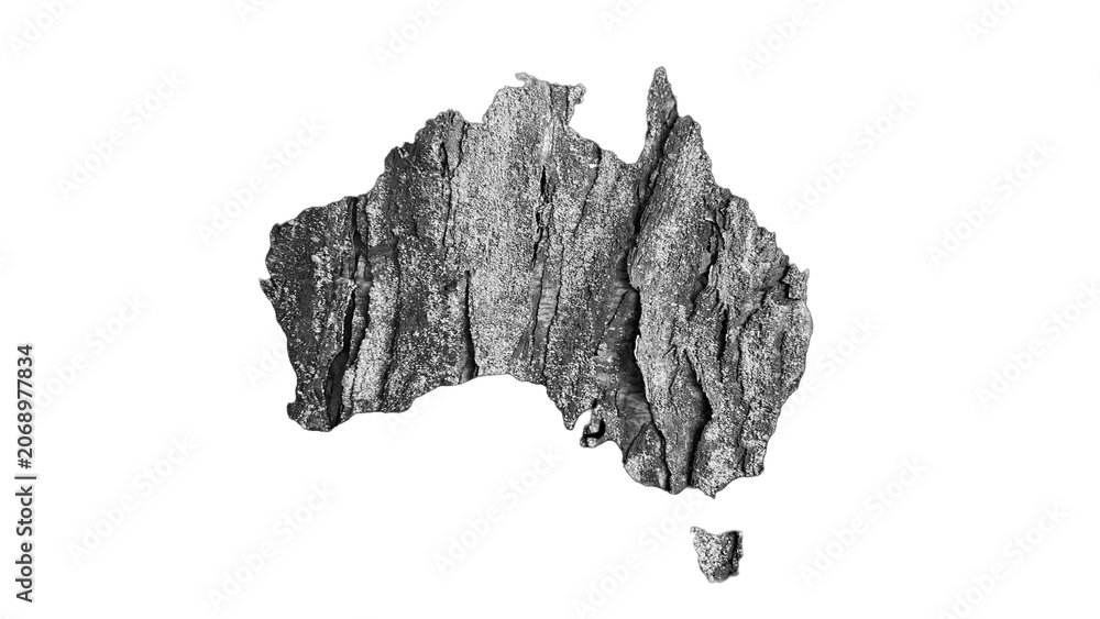Obraz premium Australia map monotone realistic tree bark or rock pattern