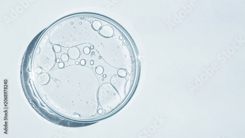 Petri dish with liquid bubbles on light blue background top view