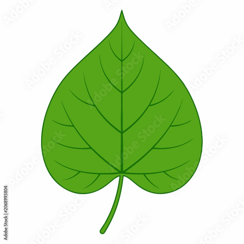 Vibrant Green Shamrock Leaf Isolated on White Background Minimalist Illustration