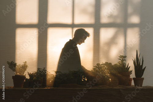 Silhouette of a man caring for potted plants on a table against a large window during golden hour.