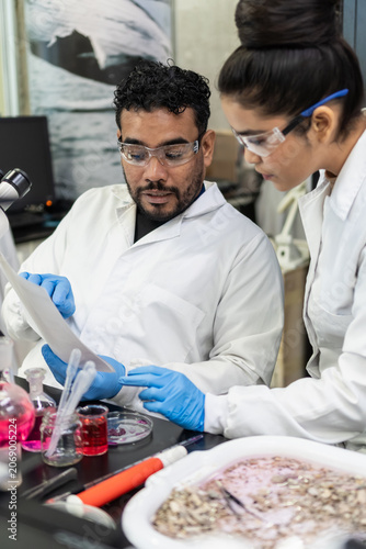 Scientists working together researching data in a laboratory