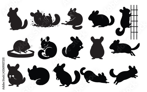 Chinchilla Silhouette Set – Cute Rodent Poses and Actions Vector Graphic