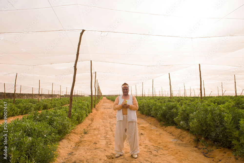 Fototapeta premium Middle Eastern woman farmer in traditional white work clothing stands confidently holding woven harvest basket overhead under protective white shade