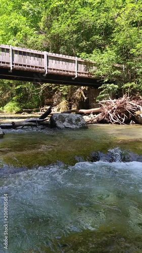 A crystal-clear mountain river flows rapidly under an old wooden bridge surrounded by lush green summer forest and rocks, capturing the serene and wild nature of Alpine landscape.