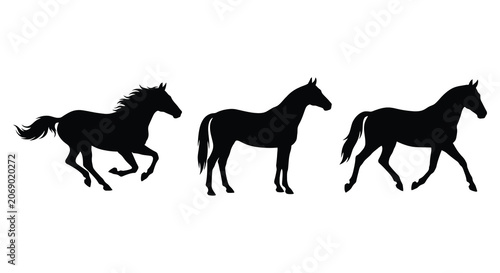 Bild auf Leinwand Three black horse silhouettes in varying gaits against a white background silhou