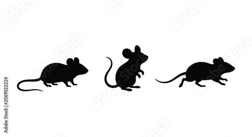 Foto Three mice in a row black silhouette against a white background silhouette mouse