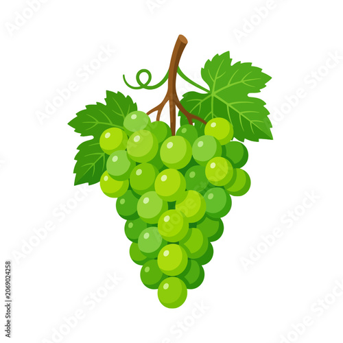 Bild auf Leinwand A lush bunch of bright green grapes resting on leafy stems