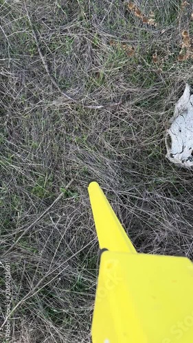 POV of a deminer sweeping a yellow metal detector over dry meadow grass in search of landmines, an animal skull nearby. Humanitarian demining and mine-action work