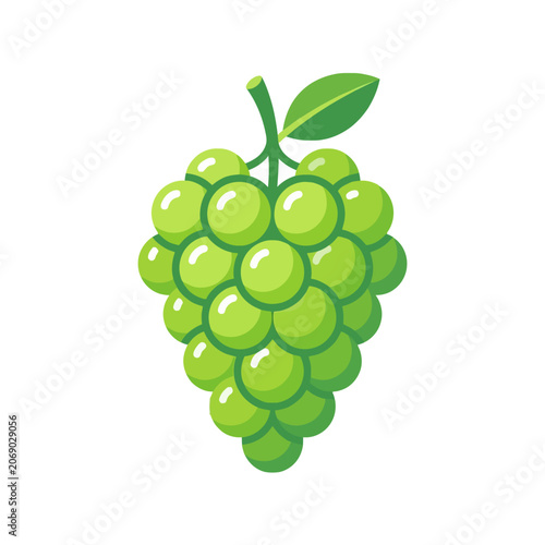 Foto A fresh bunch of green grapes isolated on white background