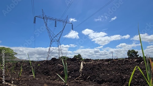 Viewed from rich, dark soil, young sugarcane grows near an electric pylon. Clouds dissolving in the blue sky signal the rainy season, connecting grid power with a sustainable agricultural concept. 
