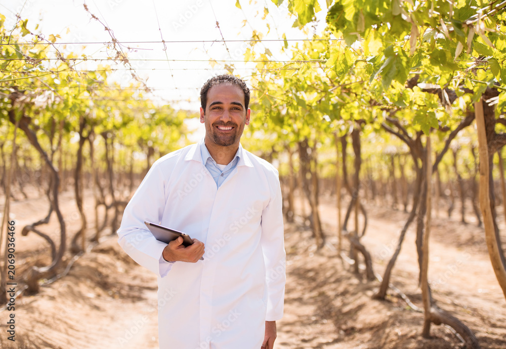 Fototapeta premium Professional Middle Eastern male vineyard agronomist in white lab coat holding digital tablet computer while conducting precision viticulture field