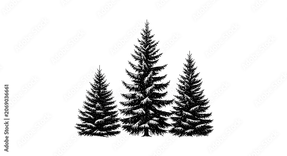 Obraz premium Three evergreen trees illustration isolated on transparent background