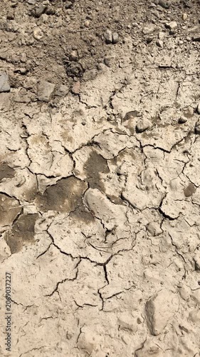 Dry cracked ground or mud soil with cracks and fissures during summer heat climate change environmental issue