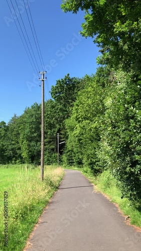 Wooden telephone landline pole with wires and paved road in a forest in the rural countryside in Germany Europe