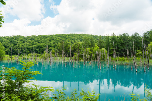 фотографія Famous Shirogane Blue Pond in Biei, Hokkaido, Japan - Beautiful summer landscape
