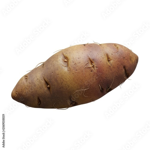 Single Fresh Sweet Potato Isolated on White Background.