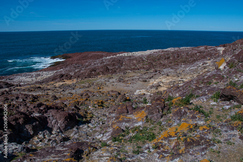 Tourists observing the wild nature, Puerto Deseado Nature Reserve, Santa Cruz Province, Patagonia Argentina.