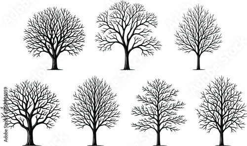 Tableau sur toile Collection of black and white leafless tree silhouettes for seasonal, forest, or winter graphic design projects, image_5a819f