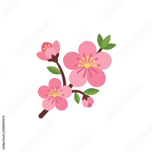 Bild auf Leinwand Pink cherry blossom branch with green leaves on white background