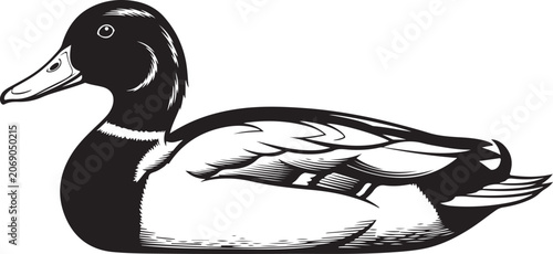Black and white duck, vector illustration, animal icon, wildlife symbol isolated on Transparent Background