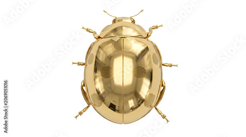 Golden ladybug figurine decorative ornament isolated on surface with ornament figurine polished metallic sculpture precious isolated lighting reflection glamorous collection ornamental