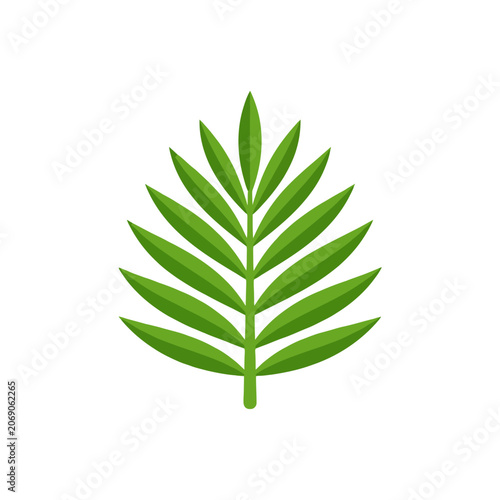 A green tropical palm leaf icon isolated on a white background