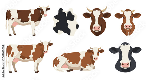 Vector illustration set of domestic cows in different poses, cow heads, and black and white spotted cow skin pattern.