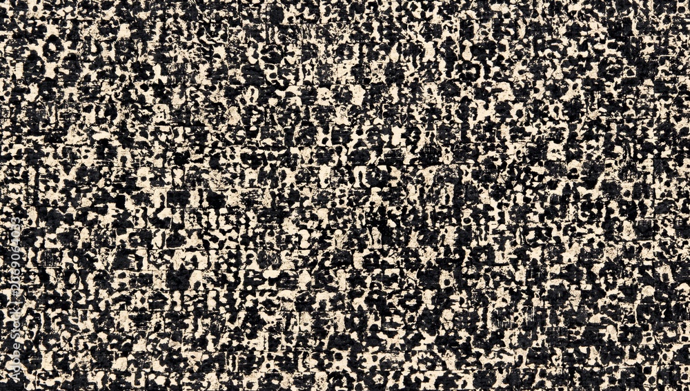 Fototapeta premium Artistic Black and White Abstract Pattern with Textured Granular Surface
