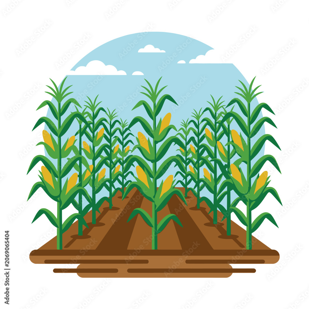 Fototapeta premium A vibrant illustration of a lush green corn field farm