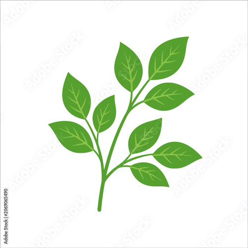A Fresh Leafy Branch Illustration for Natural Home Decor