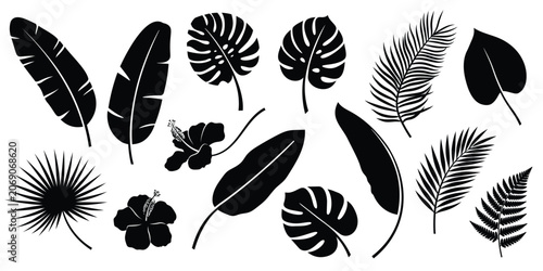 Tropical leaves silhouettes vector set. Black exotic jungle plants and hibiscus flowers isolated on white background.