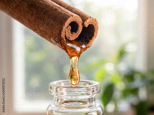 Dripping Honey and Cinnamon Stick Natural Light Background