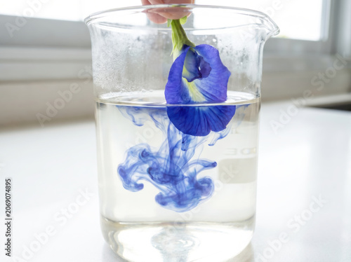 Blue Flower Dye Dispersion Clear Water