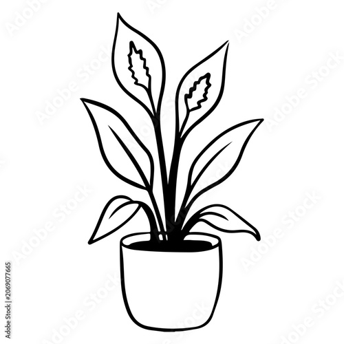 A black and white line drawing of a peace lily plant in a simple cylindrical pot on a white background. Doodle