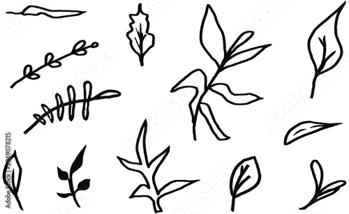 Hand Drawn Black Chalk Leaves Set – Plant and Tree leaves Foliage Isolated on Transparent Background PNG