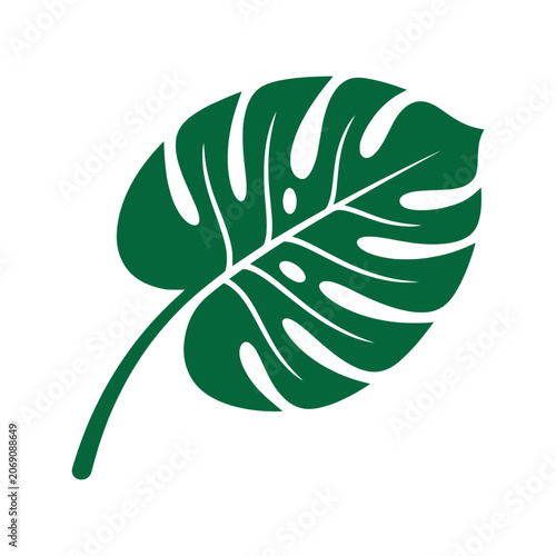 Minimalist monstera leaf vector icon flat tropical plant silhouette isolated on white