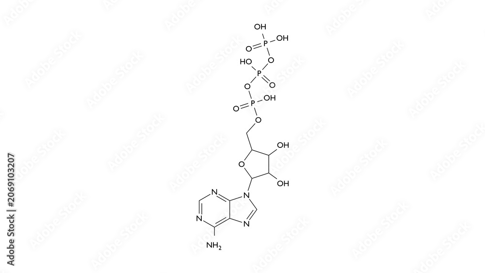 Obraz premium atp molecule, structural chemical formula, ball-and-stick model, isolated image nucleotide triphosphate compound