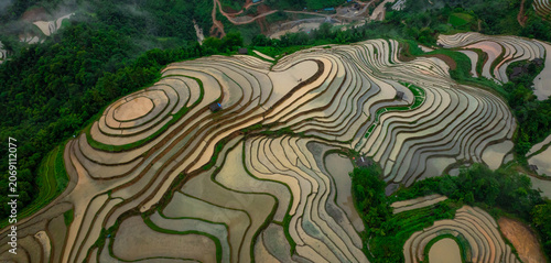 Fotografie Hmong farmers prepare their fields and plant rice on terraced fields