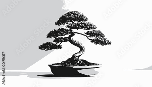 Bonsai Tree in a Pot.