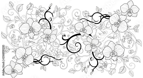 Quadro su tela Floral Orchid Line Art Pattern