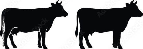 Obraz na plátně Black cow silhouette vector set, dairy cattle farm animal icons, standing bull a