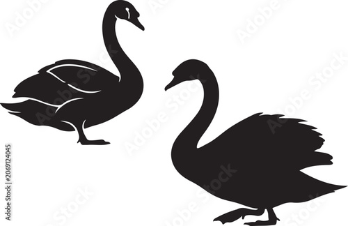 Mute swan art design in silhouette.