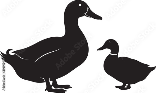  Realistic pekin duck on white background.