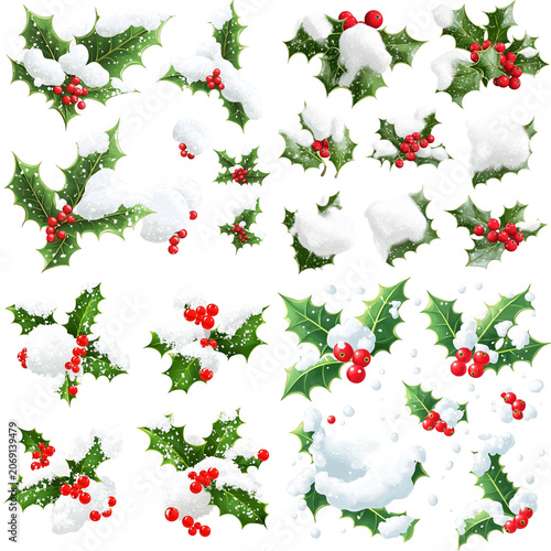 Festive Holly Sprigs with Snow and Berries Collection