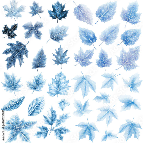 Delicate Watercolor Leaves in Shades of Blue, Evoking Winter's Frosty Beauty