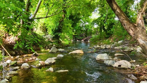 Cinematic forward dolly shot moving through pristine mountain creek with rocks and lush green Mediterranean forest, peaceful nature flow, ancient Stratonikeia Yatagan Mugla Turkey