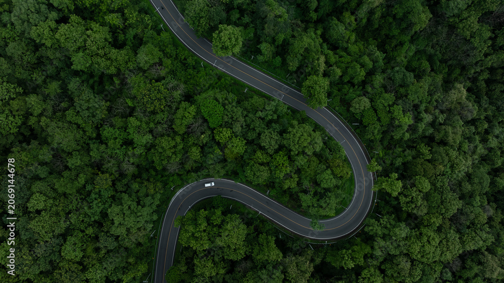 Fototapeta premium Electric vehicle or EV electrical energy for environment on forest road, Sustainable energy transportation, Electric car and EV electric energy for environment.