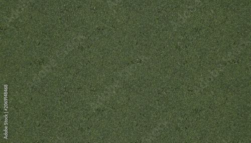 Seamless green grass texture background. Natural lawn field background with small dry leaves for 3D rendering.