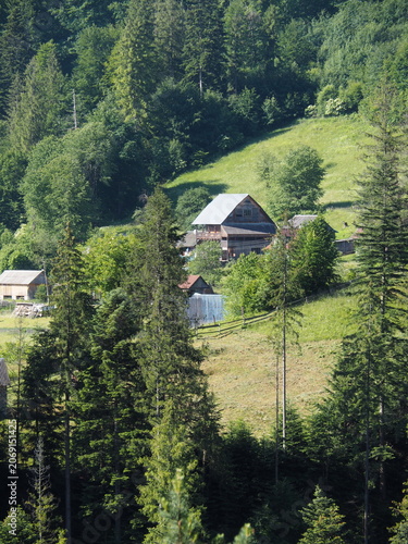 raditional wooden houses on a green mountain hill in Yaremche