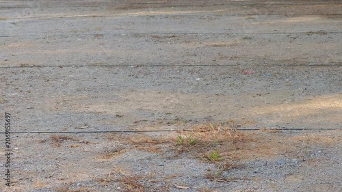 Petanque court , sports field. 